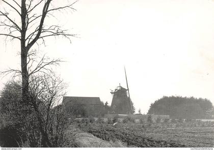 [-10%] BELGIQUE - Donceel - Le moulin - Carte Postale