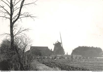 [-5%] BELGIQUE - Donceel - Le moulin - Carte Postale
