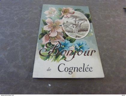 Cpa  Bonjour de Cognelée Eghezée