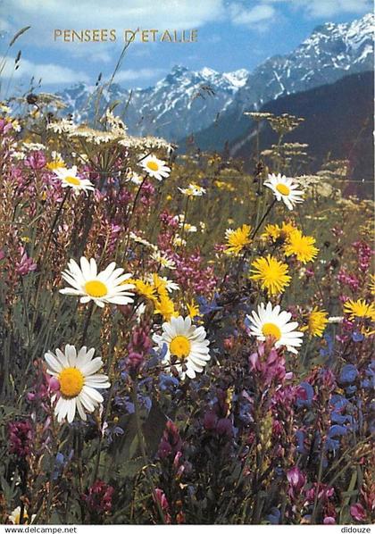 Belgique - Etalle sur Semois - Pensées d'Etalle - Fleurs des champs - Carte Neuve - CPM - Voir Scans Recto-Verso