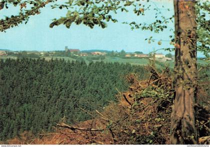 BELGIQUE - Fauvillers - Panorama - Forêt - Village - Paysage - Verdure - Edit Smetz - Carte postale