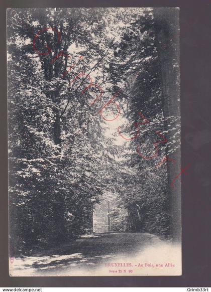 Bruxelles - Au Bois, une Allée - postkaart