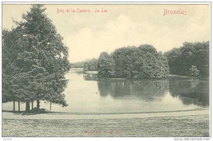 cp , BRUXELLES , Forêts , Parcs , Jardins , Jardin Botanique , dos simple , voyagée 1905