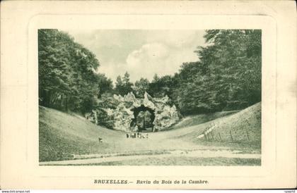 CPA Bruxelles Ravin du Bois de la Cambre