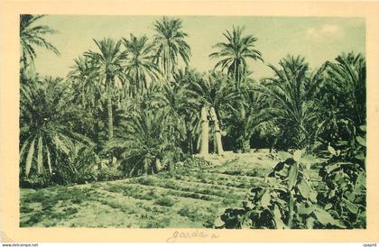CPA Chardaia Oasis et Puits