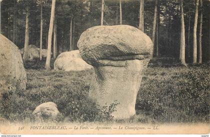 CPA FONTAINEBLEAU-La Foret-Aprement-Le champignon -LL
