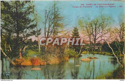 CPA Foret de fontainebleau Gorges de franchard Le Mars aux pigeons