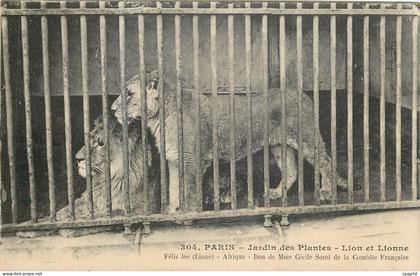 CPA PARIS-Jardin des Plantes -lion et Lionne