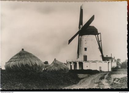 GAVERE    OUDE WINDMOLEN     FOTOKAART
