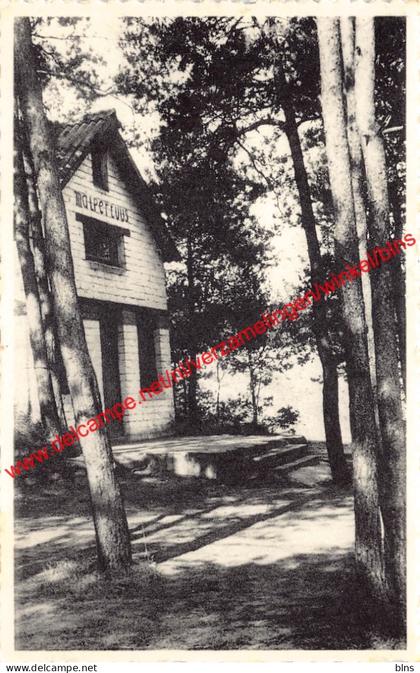 Geel-Bel - Malpertuus - het vacantiehuis - Geel