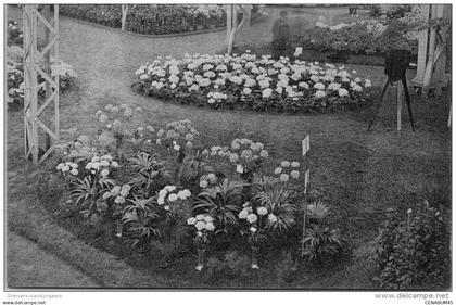 Belgique - FLANDRE ORIENTALE - GAND - Floralie 1913 deux massifs