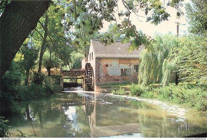 [-5%] Belgique - Gooik - Da Sint Waltrudis molen te Herne - Pajottenland - Uitgave VVV Markevallei - Roue - Carte postal