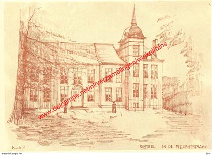 Kasteel in de Plezantstraat - Hamme