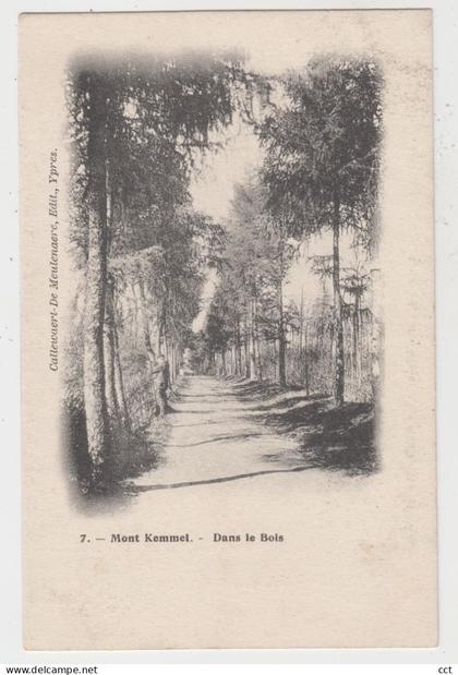 Kemmel  Heuvelland   Mont Kemmel   Dans le bois