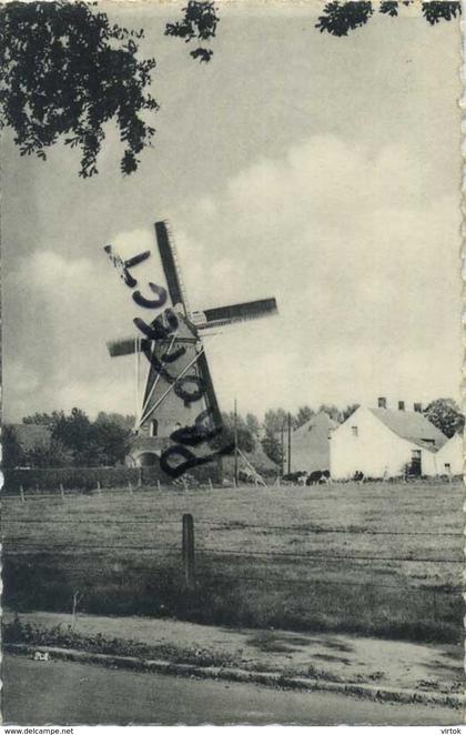Hoogstraten :  De windmolen   ( geschreven met zegel )