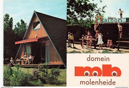 [-10%] BELGIQUE - Domein - Molenheide - Houthalen - Helchteren - Chaletarpk - Camping - Zwembad - multi-vues - Carte Pos