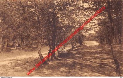 Boschweg - Kasterlee