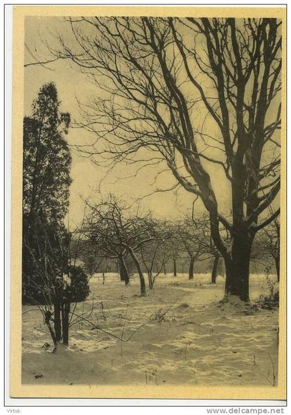 Kortenberg ´ Abdij Cortenberg ´  :  boomgaard in den winter   ( groot formaat )
