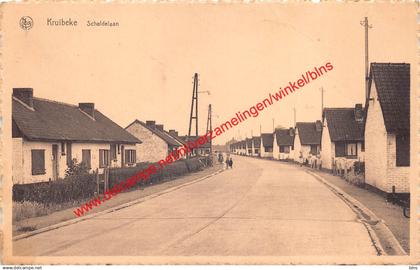 Scheldelaan - Kruibeke