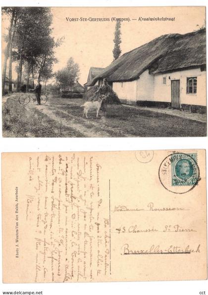 Vorst  Kempen  Laakdal  Kraaiwinkelstraat      GEIT CHEVRE