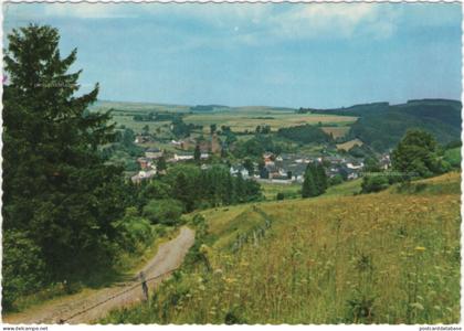 Burg Reuland - Panorama