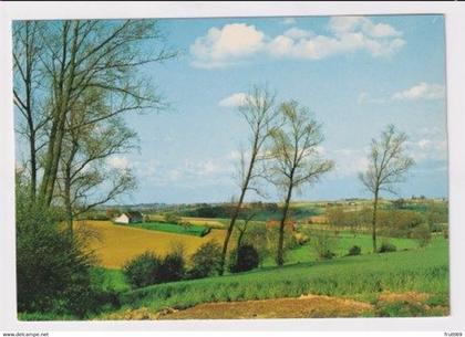 AK 022168 BELGIUM - Vlaamse Ardennen - Landschap 2 - Ruitegem Nukerke