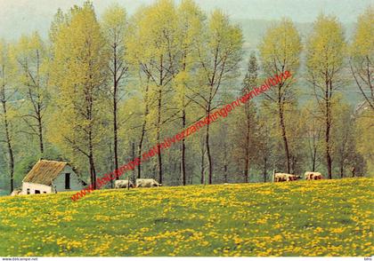 Etikhove - vijf seizoenen - Maarkedal