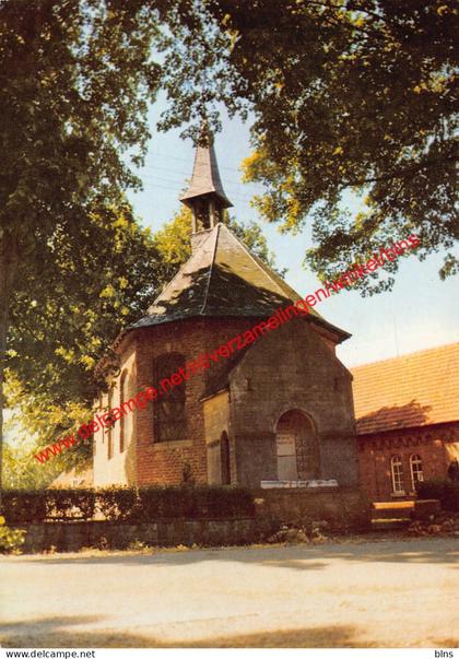 Aldeneik - Willibrordusput - Maaseik