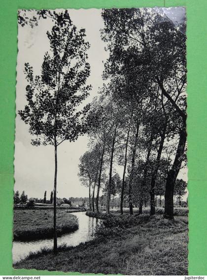 Meerhout De Grote Nete