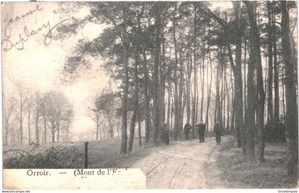 Carte Postale - Belgique  Orroir Mont de l'Enclus un coin du Bois 1910 VM72133