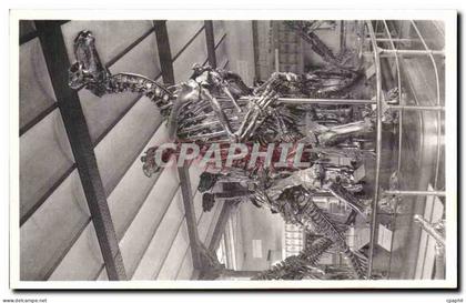 CPA Bruxelles Musee Royal d histoire naturelle Galeries nationales Iguanodons de Bernissart Dinosaure