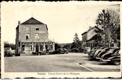 CPA Falaën Onhaye Wallonien Namur, Grand Hôtel de la Molignée
