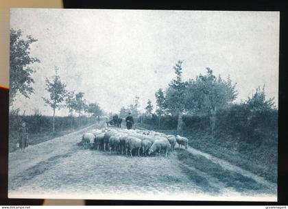 NINOVE    AALSTERSESTEENWEG   + -  1900=  UITGAVE DOCUMENTATIECENTRUM DE MONT - NINOVE