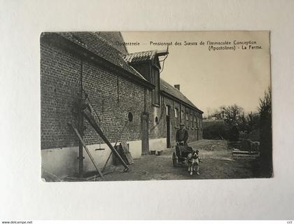 Oosterzeele Oosterzele   Pensionnat des Soeurs de l'Immaculée Conception (Apostolines) La Ferme HONDEKAR ATTELAGE CHIEN