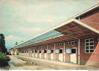 [-5%] BELGIQUE - Oud Heverlee - Landelijke Ruiterschool van de Belgische Boerenbond - colorisé - J Prevot - Carte postal
