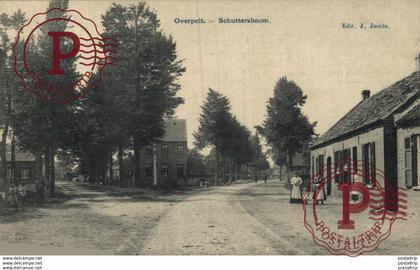 OVERPELT SCHUTTERSBOOM  LIMBURG