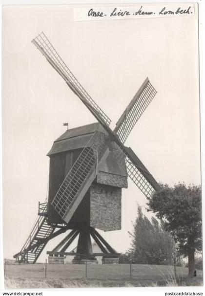 Onze-Lieve-Vrouw-Lombeek - Molen - & windmill