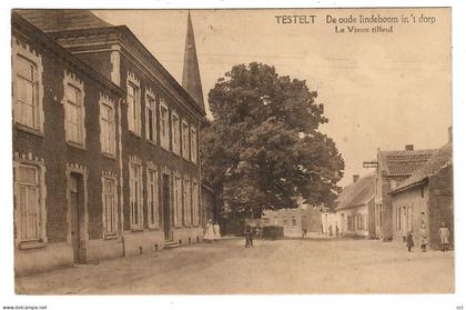 Testelt  Scherpenheuvel-Zichem    De oude lindeboom in 't dorp   Le Vieux tilleul
