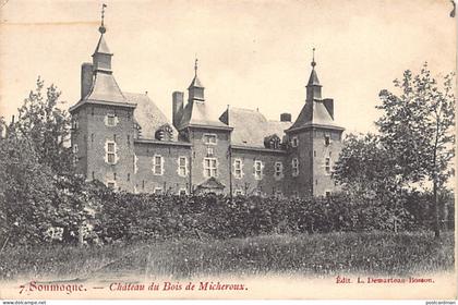 Belgique - SOUMAGNE (Liège) Château du Bois de Micheroux