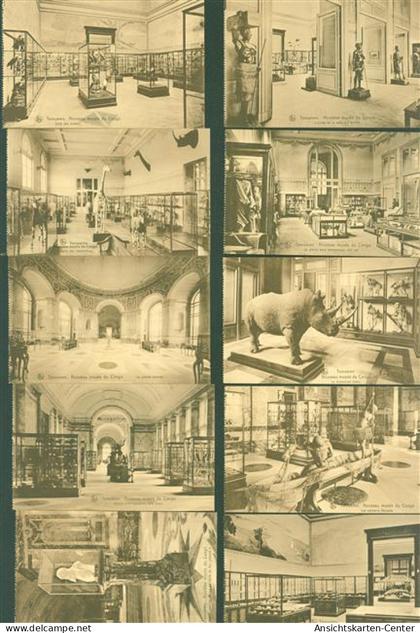 13824786 - Tervuren Tervueren