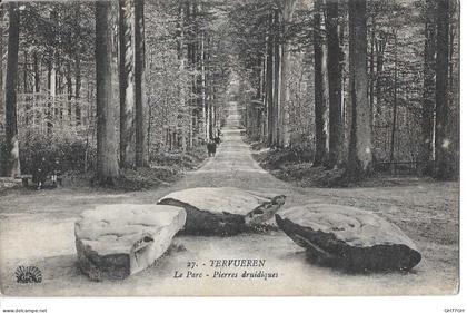 CPA TERVUEREN -pierres druidiques -tervuren