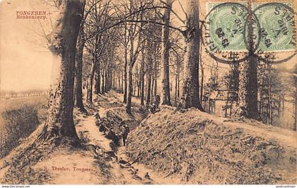 België - TONGEREN (Limb.) Beukenberg