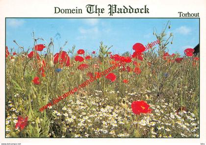 Domein The Paddock - Torhout