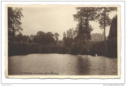 CPA - Photo Carte - Foto Kaart - Château d' ASSENOIS par Lavaux   //