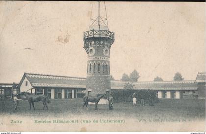 ZULTE.   ECURIES RIBAUCOURT. ( VUE DE L'INTERIEUR )