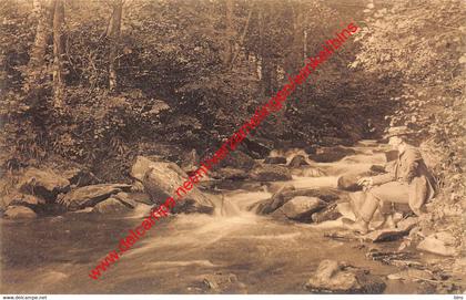 Ruisseau du Petit Fays - Vresse-sur-Semois