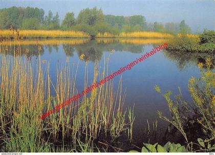 Oude Durme - Waasmunster