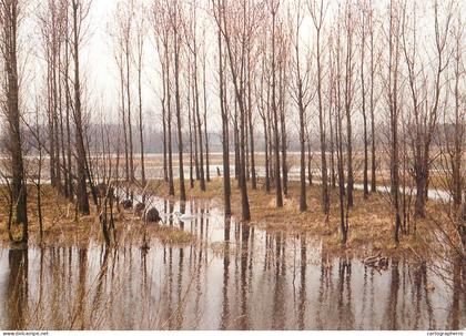 Waasmunster Durme Landschaft