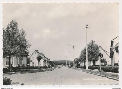 WACHTEBEKE   NIEUWE WIJK    FOTOKAART