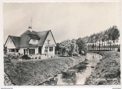 WACHTEBEKE   WALDERDONK   FOTOKAART